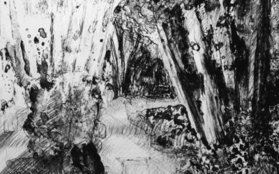 Tropical Forest