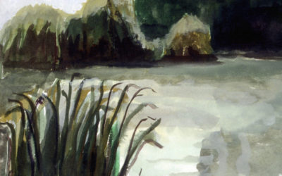 Pond in the Rain