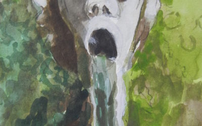 Masked Waterspout