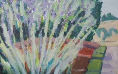 Lavender Spray